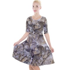 Fossilized Seashell Texture Print Design Bk Quarter Sleeve A-line Dress With Pockets by dflcprintsclothing