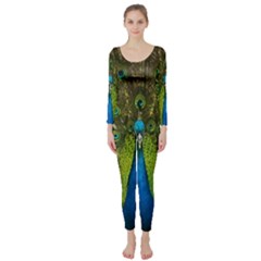Peacock Feathers Bird Plumage Long Sleeve Catsuit by Perong