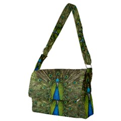 Peacock Feathers Bird Plumage Full Print Messenger Bag (m) by Perong