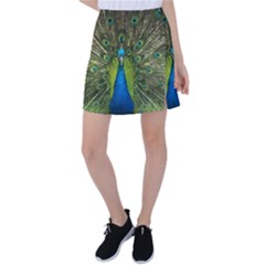 Peacock Feathers Bird Plumage Tennis Skirt by Perong