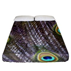 Peacock Bird Feathers Plumage Peacock Fitted Sheet (king Size) by Perong