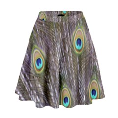 Peacock Bird Feathers Plumage Peacock High Waist Skirt by Perong