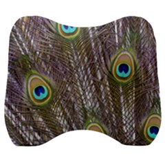 Peacock Bird Feathers Plumage Peacock Velour Head Support Cushion by Perong