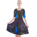 Bird Peacock Feathers Quarter Sleeve A-Line Dress View1
