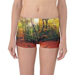 Forest Woods Autumn Nature Boyleg Bikini Bottoms by Proyonanggan