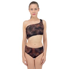 Brown Wool Texture Spliced Up Two Piece Swimsuit by kyorashop23