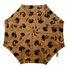 Carton, Brown Hook Handle Umbrellas (medium) by kyorashop23