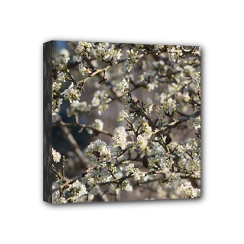 Pear Tree In Full Bloom Mini Canvas 4  X 4  (stretched) by ExtraAwesomeSauce