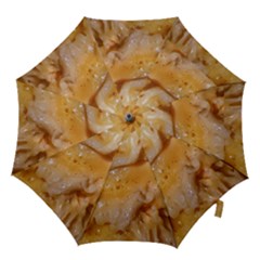 Homemade Flan Extreme Close-up Texture Hook Handle Umbrellas (large) by dflcprintsclothing