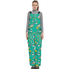 Naso Flame Fabric Women s Side Zip Front Pouch Ski And Snowboard Bib Pants	 by SeaworthyClothing