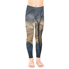 Tree Silhouette At Border Of Nahuel Haupi Lake, Rio Negro, Argentina Kids  Classic Winter Leggings by dflcprintsclothing