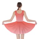 Scarlet Red To Pink Lace Linear Gradient Skater Dress View2