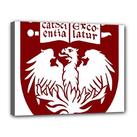 University Of Chicago Canvas 14  X 11  (stretched) by avitendut