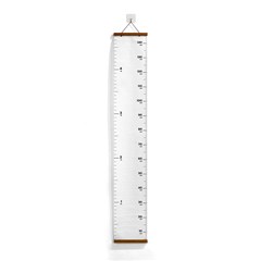 Growth Chart Height Ruler For Wall Icon