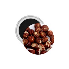 Hazelnuts 1 75  Button Magnet by hlehnerer