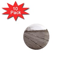Laguna Beach Walk 1  Mini Button Magnet (10 Pack) by hlehnerer