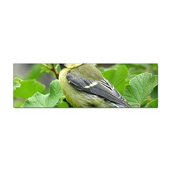 Songbird Bumper Sticker 10 Pack by Siebenhuehner