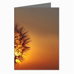Dandelion Greeting Card (8 Pack) by Siebenhuehner