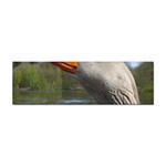 Geese Bumper Sticker 10 Pack Front