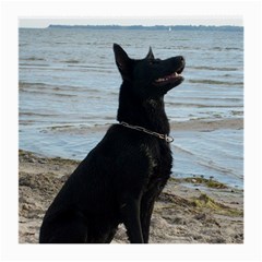 Black German Shepherd Glasses Cloth (medium, Two Sided) by StuffOrSomething