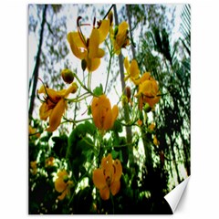 Yellow Flowers Canvas 12  X 16  (unframed) by SaraThePixelPixie