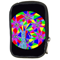 Star Seeker Compact Camera Leather Case by icarusismartdesigns