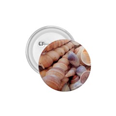 Seashells 3000 4000 1 75  Button by yoursparklingshop