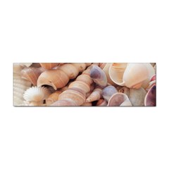 Sea Shells Bumper Sticker 10 Pack by yoursparklingshop