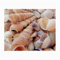 Sea Shells Glasses Cloth (small, Two Sided) by yoursparklingshop