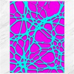 Hot Web Turqoise Pink Canvas 36  x 48   35.26 x46.15  Canvas - 1