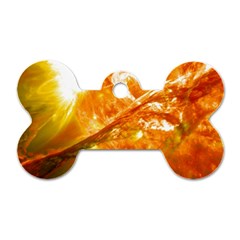 Solar Flare 2 Dog Tag Bone (two Sides) by trendistuff