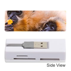 Two Monkeys Memory Card Reader (stick)  by trendistuff