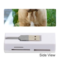 Cute Wrinkly Puppy Memory Card Reader (stick)  by trendistuff