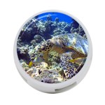 SEA TURTLE 4-Port USB Hub (Two Sides)  Back