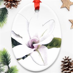 White Magnolia Pencil Drawing Art Ornament (oval)  by picsaspassion