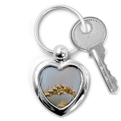 Cornfield Key Chains (heart)  by picsaspassion