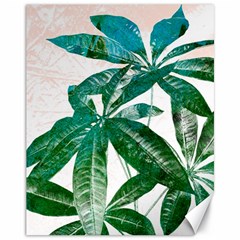 Pachira Leaves  Canvas 11  X 14   by DanaeStudio