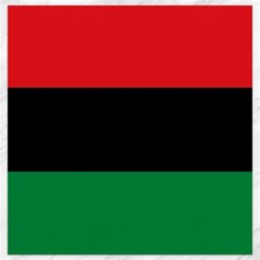 Pan African Unia Flag Colors Red Black Green Horizontal Stripes Canvas 12  X 12   by yoursparklingshop
