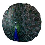 Peacock Four Spot Feather Bird Large 18  Premium Flano Round Cushions Back