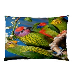 Beautifull Parrots Bird Pillow Case by Nexatart