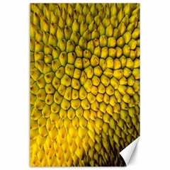 Jack Shell Jack Fruit Close Canvas 24  X 36  by Amaryn4rt