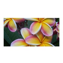 Premier Mix Flower Satin Wrap by alohaA