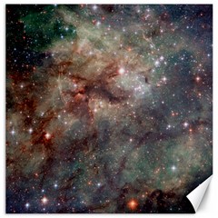 Tarantula Nebula Canvas 16  X 16   by SpaceShop