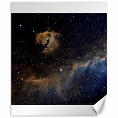 Seagull Nebula Canvas 8  X 10  by SpaceShop