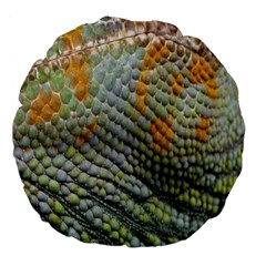 Macro Of Chameleon Skin Texture Background Large 18  Premium Flano Round Cushions by Simbadda