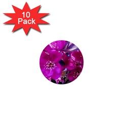 Pretty In Fuchsia 1  Mini Buttons (10 Pack)  by dawnsiegler