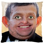 Regboy Large Cushion Case (One Side) Front