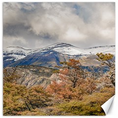 Forest And Snowy Mountains, Patagonia, Argentina Canvas 12  X 12   by dflcprints