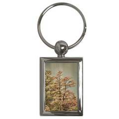 Landscape Scene Colored Trees At Glacier Lake  Patagonia Argentina Key Chains (rectangle)  by dflcprints
