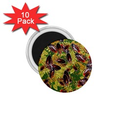 Cockroaches 1 75  Magnets (10 Pack)  by SuperPatterns